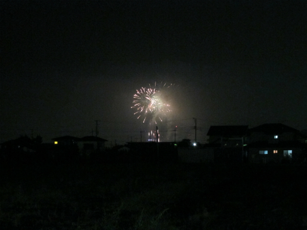 今日は花火大会です！