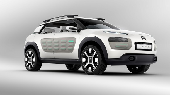 C4 CACTUS