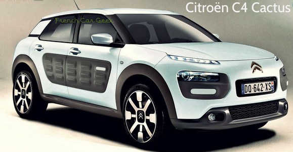 C4 CACTUS