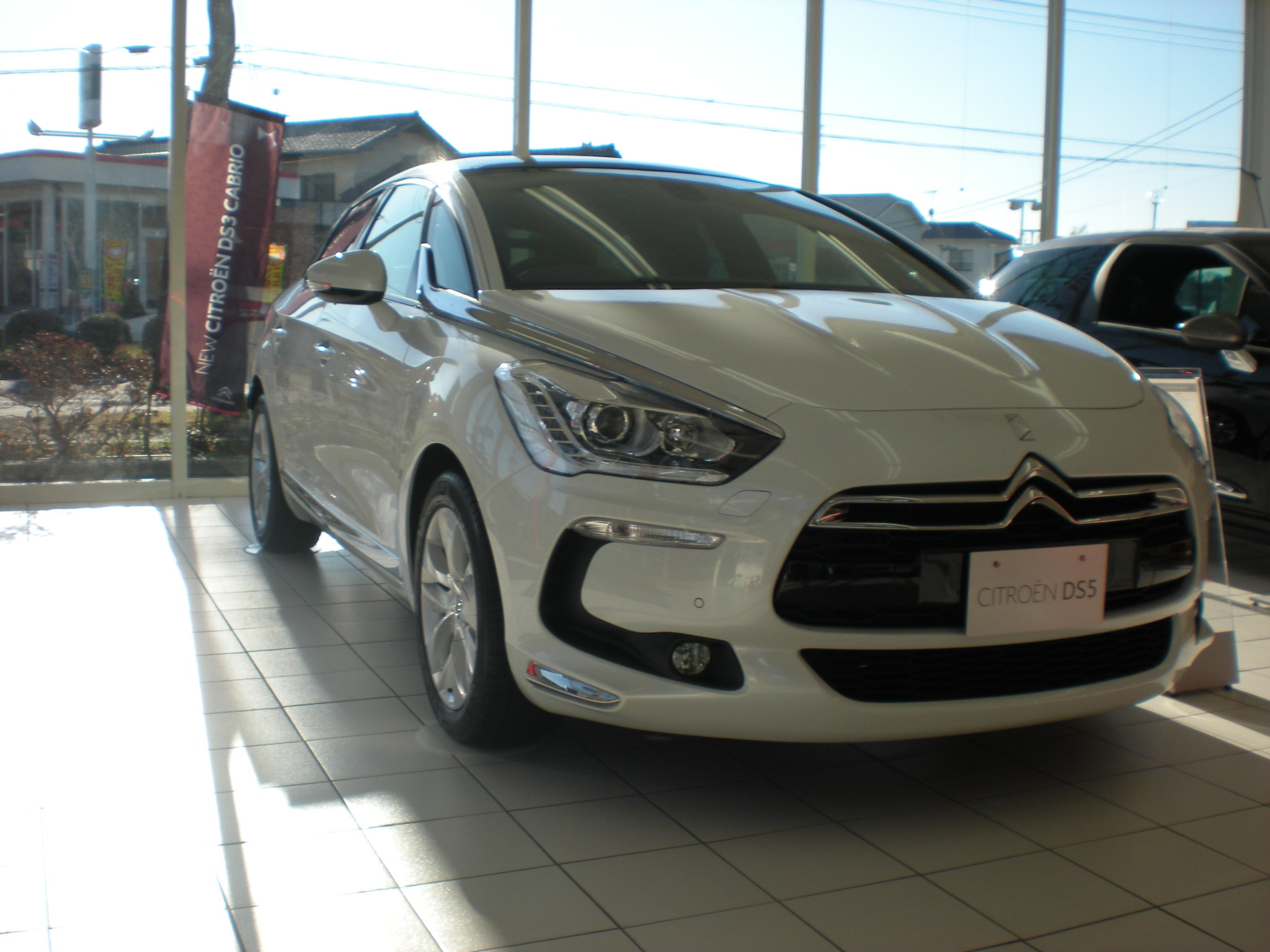 DS5の限定車が入荷しました！