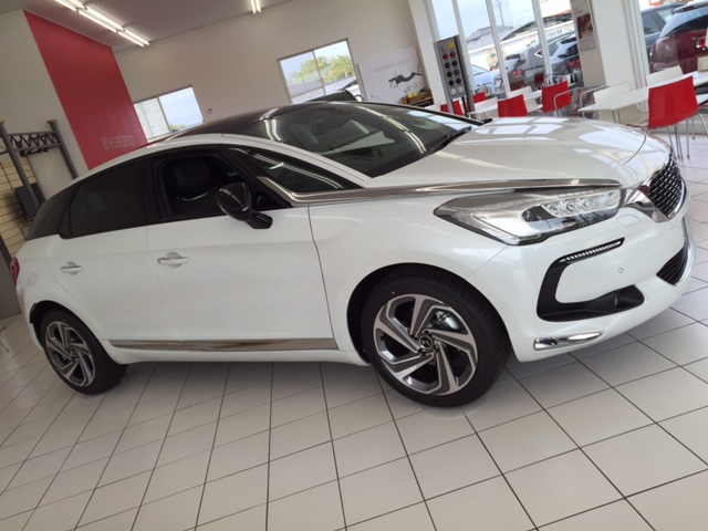 NEW　DS5　展示中です